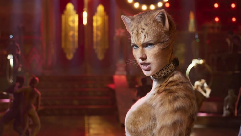 Cats 1 768x432