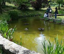 Giardino dellIris firenze Corto Cortometraggi