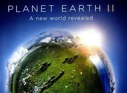 Planet Earth II