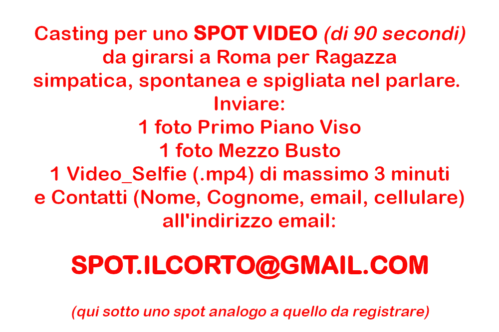 VideoSpot v2a 1000