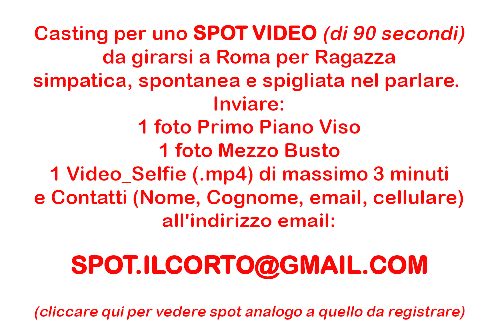 VideoSpot v2b 1000