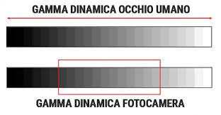 gamma dinamica